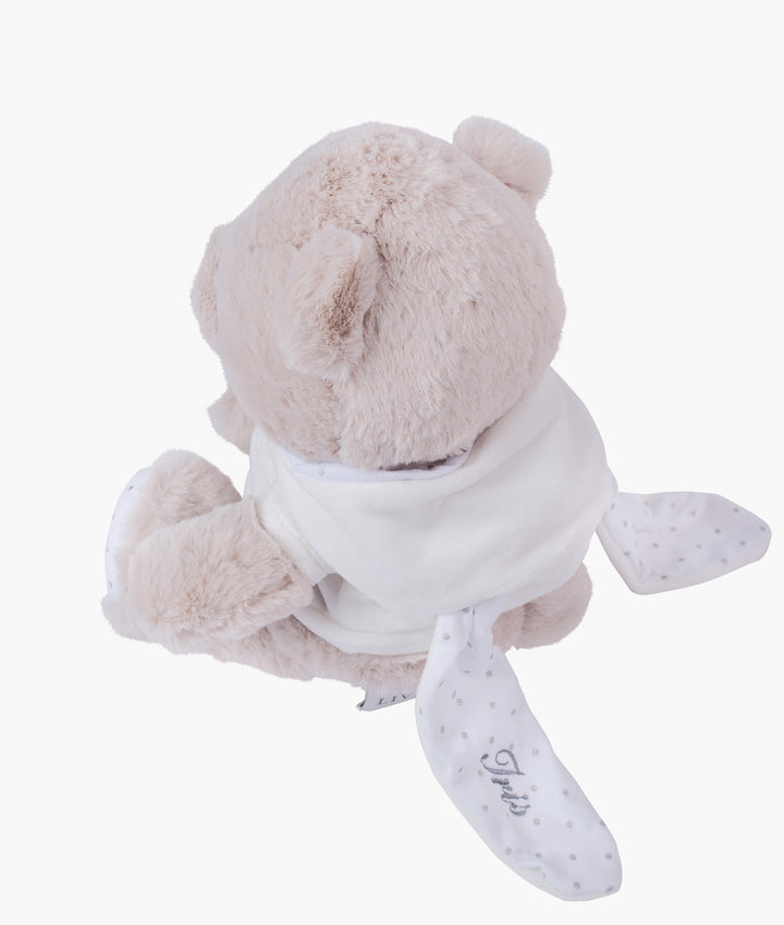 Teddy Tay